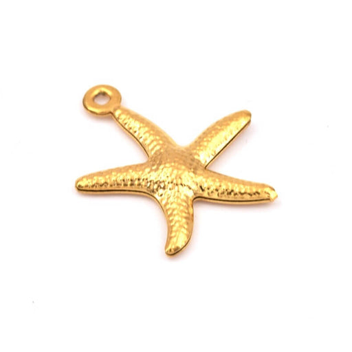 Achat Pendentif charm étoile de mer en acier inoxydable doré 18x15mm (1)